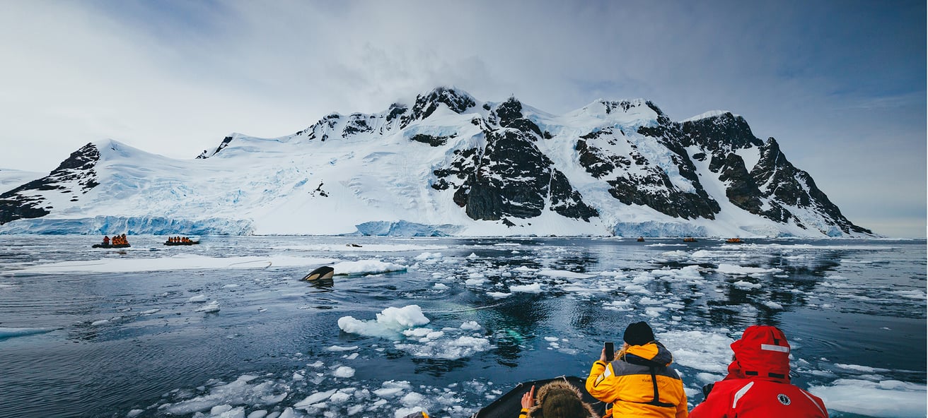 Expeditions